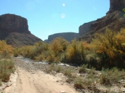 creek_crossing