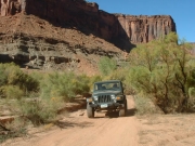 ladd_on_the_trail