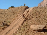 tedi_on_horseshoe_hill