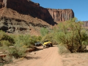 tom_on_the_trail