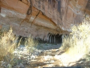 trail_along_the_creek
