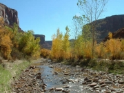 water_in_the_canyon