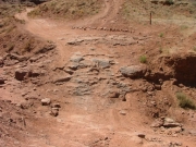 ditch