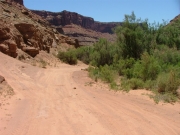 down_to_the_creek