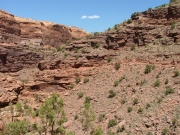 trail_in_the_distance