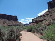 between_bluffs