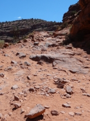 challenge_1_part_1