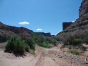 down_into_the_canyon