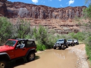 into_the_creek