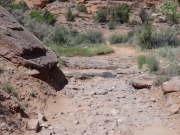 ledges