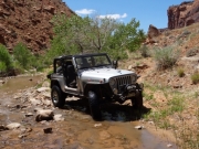 mike_on_the_trail