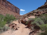 out_of_the_canyon