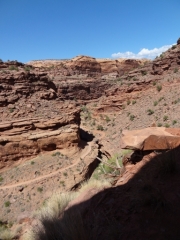 trail_below