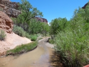 trail_in_the_creek