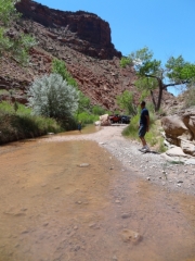 wading