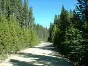 top_of_the_trail