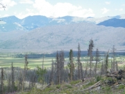 big_view
