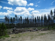 fire_prevention
