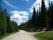 intersection_with_north_supply_creek