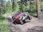 monica_in_the_mud_hole