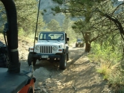 on_the_trail
