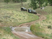 jeeps