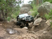 ladd_up_the_chutes_part_6