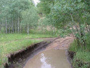 mud_puddle