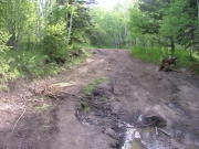 muddy_spot