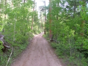narrow_trail