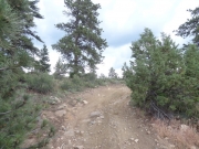 aneurysm_hill_part_6