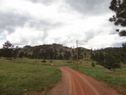 easy_roads