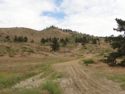 heart_attack_hill_part_2