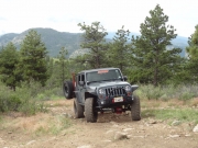 holly_on_the_trail