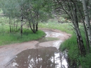 puddles