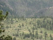 view_from_the_top