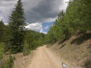 early_trail