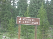 intersection_with_mosquito_lake_trail