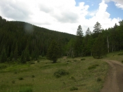 through_the_meadow