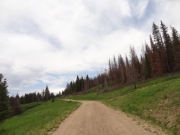 easy_trail