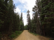 mellow_trail