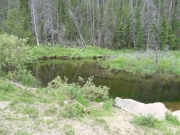 pond