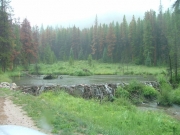 beaver_dam