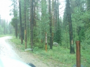 forest_service_sign