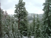 looks_like_winter