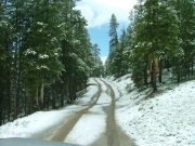 tracks_in_snow
