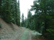 up_the_spur