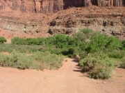 start_of_the_trail