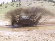 austin_with_a_big_splash