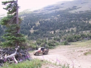 dirty_little_jeep